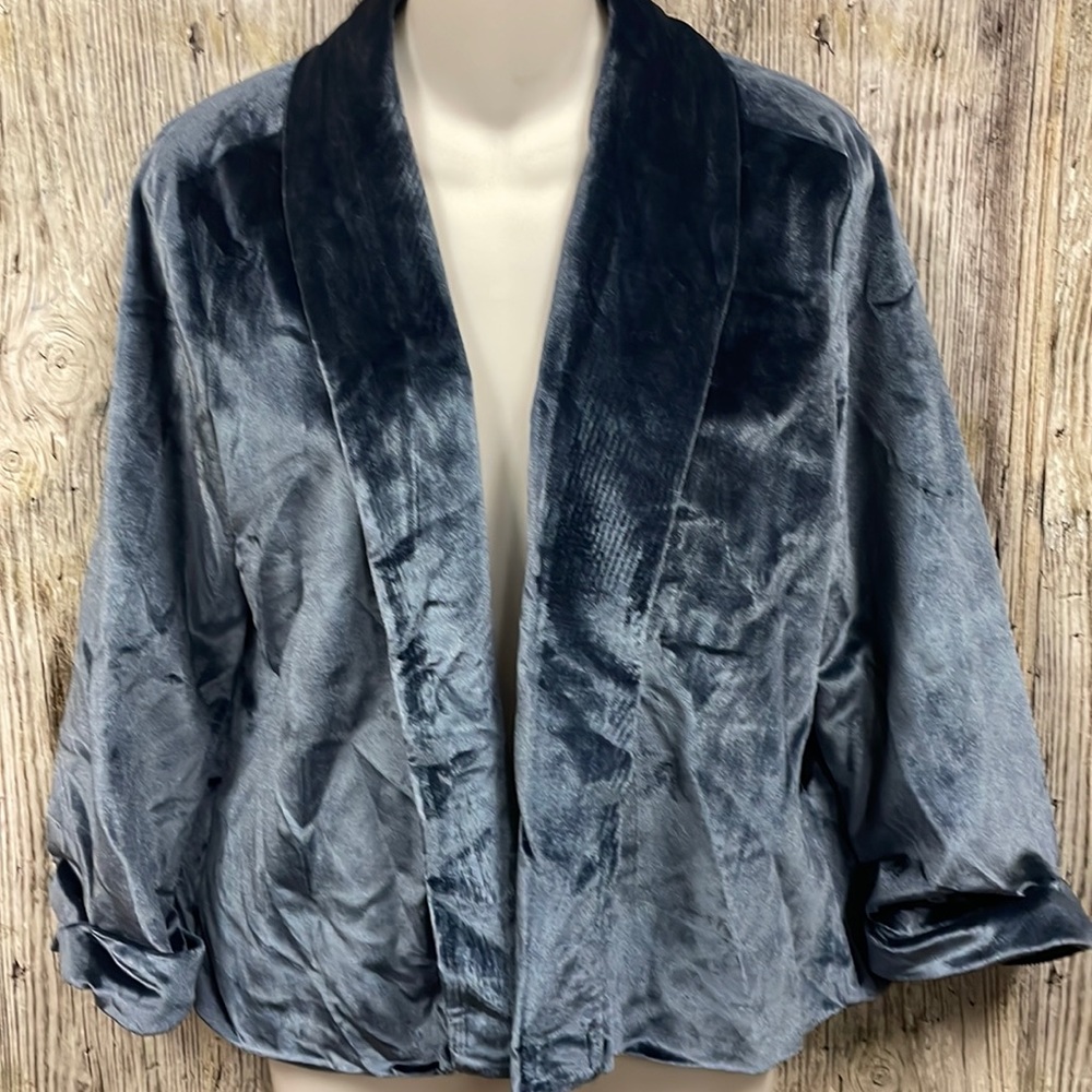 NWT Velvet WYLDR BLAZER